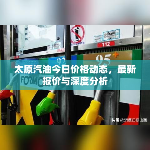 太原汽油今日价格动态，最新报价与深度分析