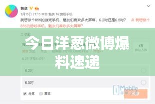 今日洋葱微博爆料速递