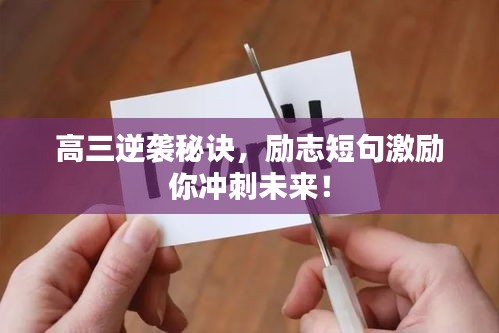 高三逆袭秘诀，励志短句激励你冲刺未来！
