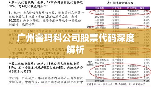 广州睿玛科公司股票代码深度解析