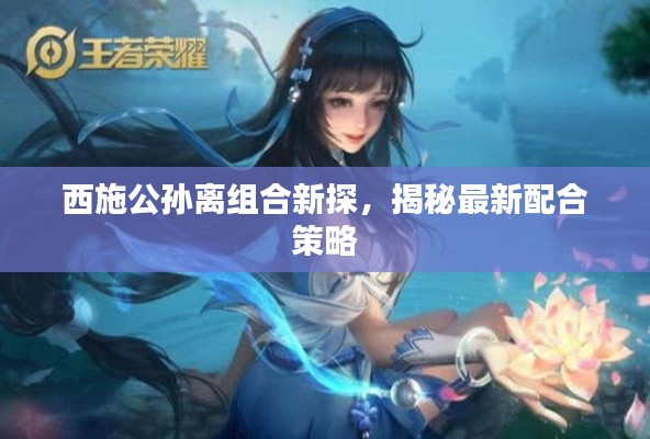 西施公孙离组合新探，揭秘最新配合策略