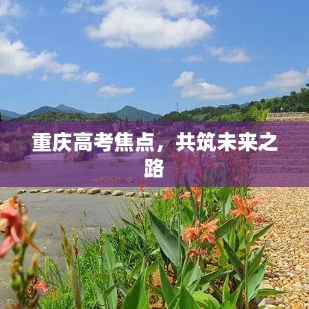 重庆高考焦点，共筑未来之路