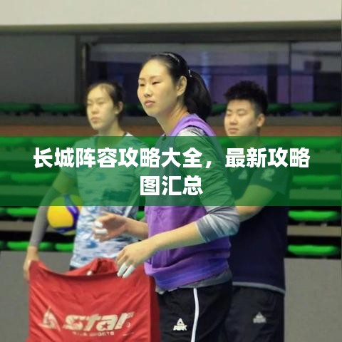 长城阵容攻略大全，最新攻略图汇总