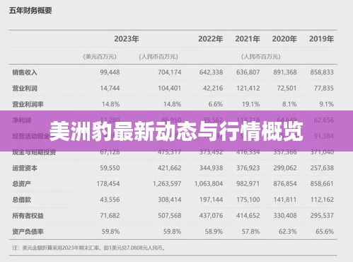 美洲豹最新动态与行情概览