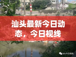汕头最新今日动态，今日视线热点一览