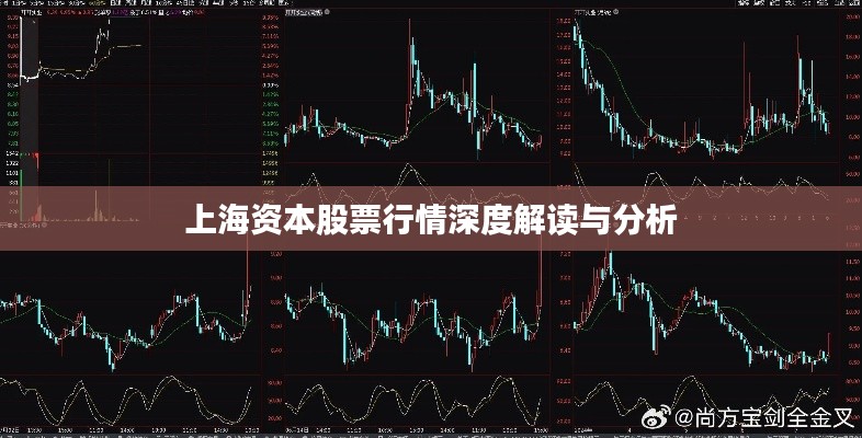 上海资本股票行情深度解读与分析