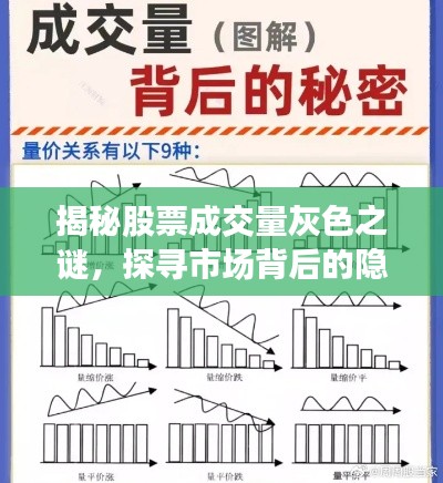 揭秘股票成交量灰色之谜，探寻市场背后的隐秘力量