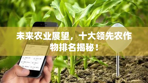 未来农业展望，十大领先农作物排名揭秘！