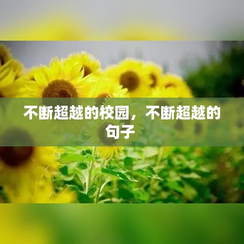 不断超越的校园，不断超越的句子 