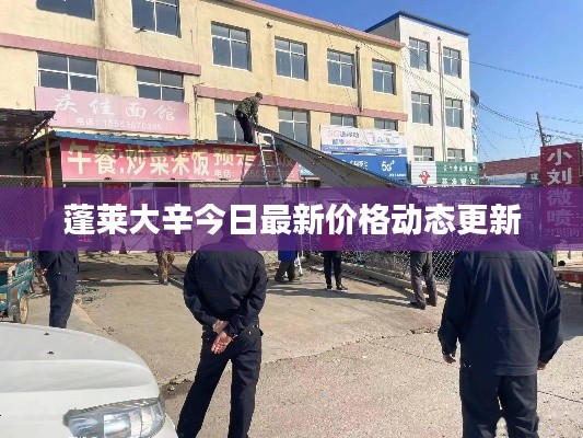 蓬莱大辛今日最新价格动态更新