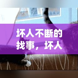 坏人不断的找事，坏人坏事 