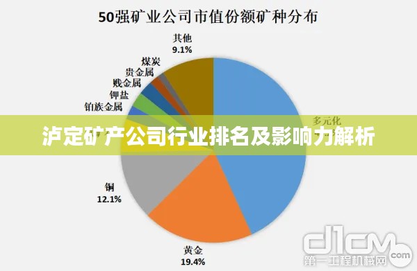 泸定矿产公司行业排名及影响力解析