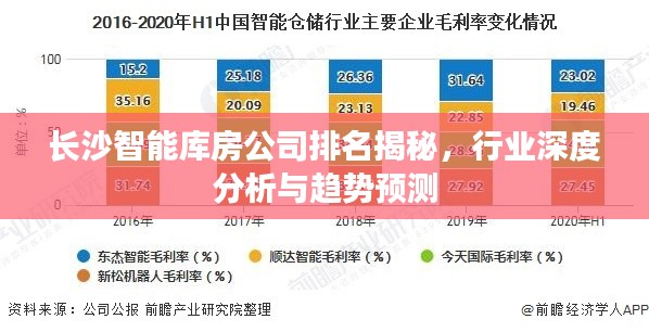 长沙智能库房公司排名揭秘，行业深度分析与趋势预测