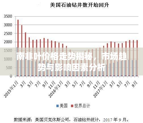 南非叶价格走势揭秘，市场趋势与影响因素分析