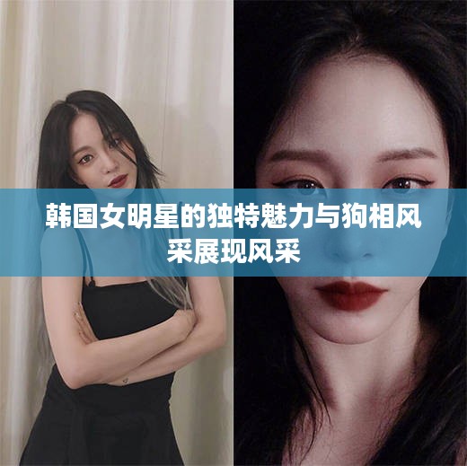 韩国女明星的独特魅力与狗相风采展现风采