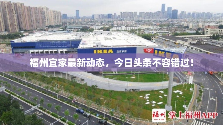 福州宜家最新动态，今日头条不容错过！