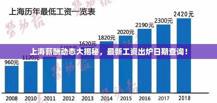 上海薪酬动态大揭秘，最新工资出炉日期查询！