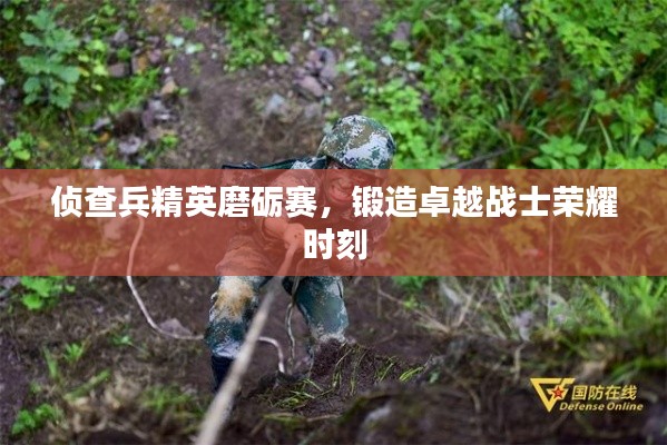 侦查兵精英磨砺赛，锻造卓越战士荣耀时刻