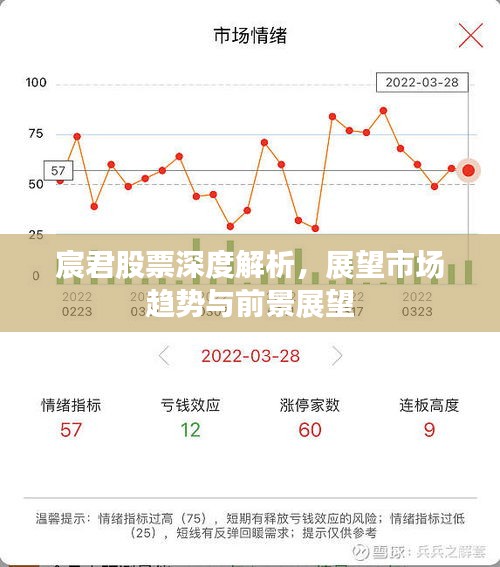 宸君股票深度解析，展望市场趋势与前景展望