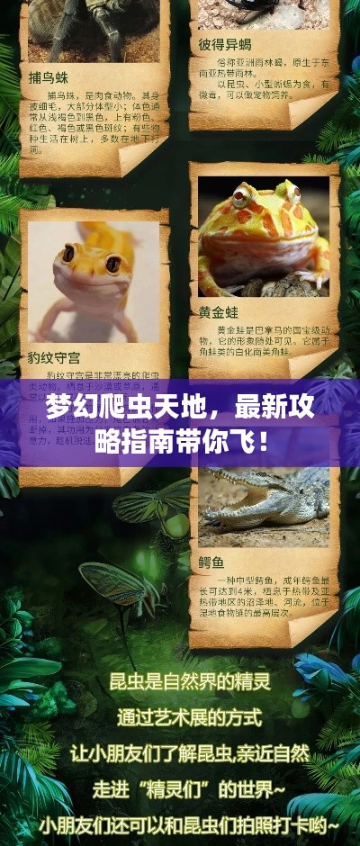 梦幻爬虫天地，最新攻略指南带你飞！