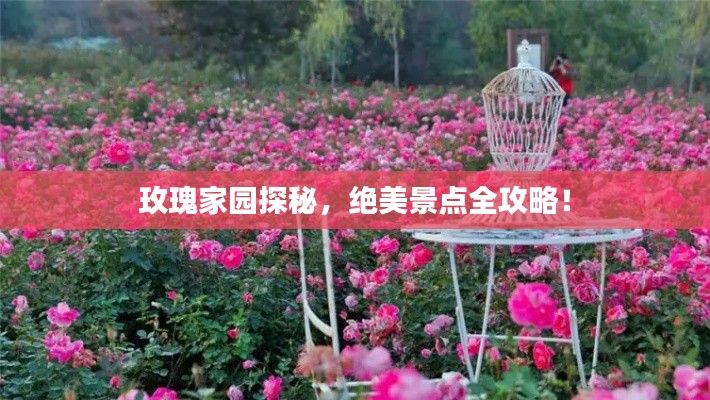 玫瑰家园探秘，绝美景点全攻略！