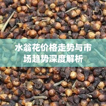 水翁花价格走势与市场趋势深度解析