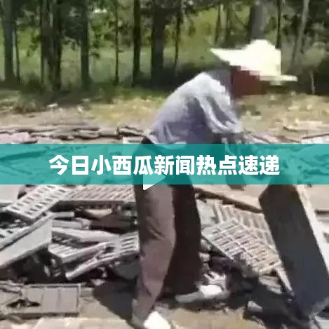 今日小西瓜新闻热点速递
