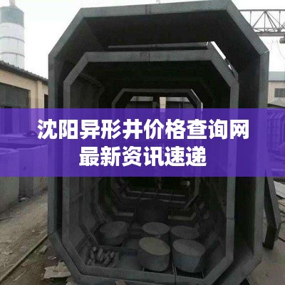眼空四海 第2页
