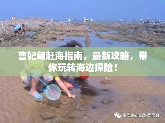 曹妃甸赶海指南，最新攻略，带你玩转海边探险！