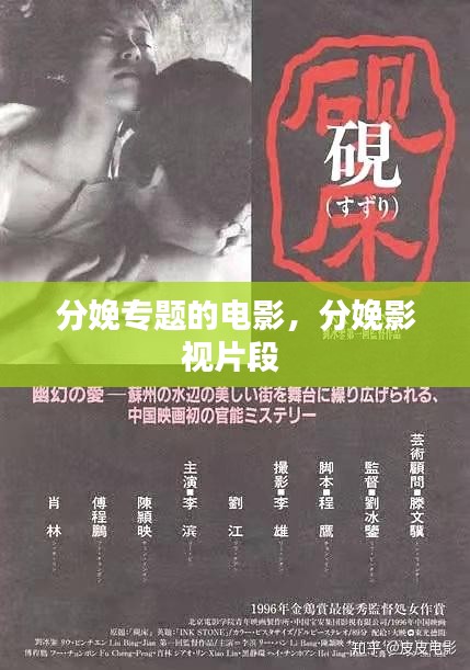 分娩专题的电影，分娩影视片段 