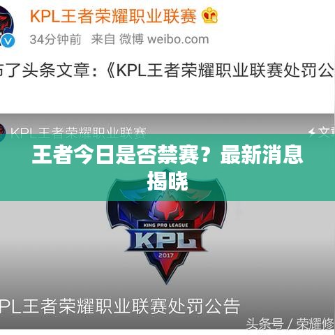 王者今日是否禁赛？最新消息揭晓