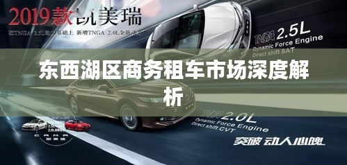 东西湖区商务租车市场深度解析