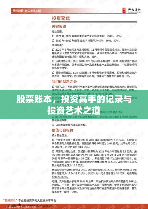 股票账本，投资高手的记录与投资艺术之道