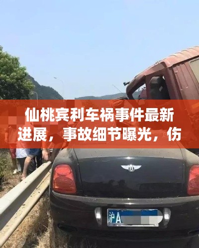 仙桃宾利车祸事件最新进展，事故细节曝光，伤者情况牵动人心