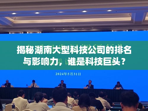 揭秘湖南大型科技公司的排名与影响力，谁是科技巨头？