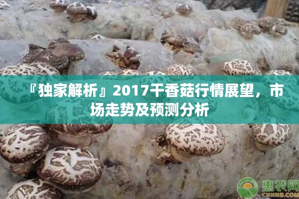 『独家解析』2017干香菇行情展望，市场走势及预测分析