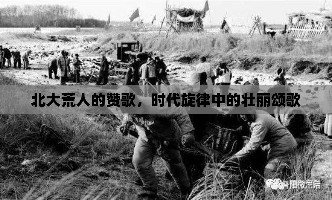 北大荒人的赞歌，时代旋律中的壮丽颂歌