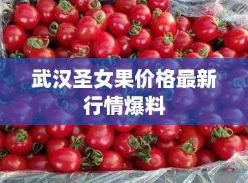 武汉圣女果价格最新行情爆料