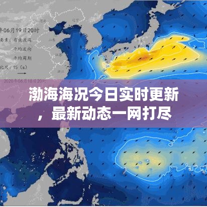 渤海海况今日实时更新，最新动态一网打尽