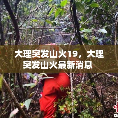大理突发山火19，大理突发山火最新消息 