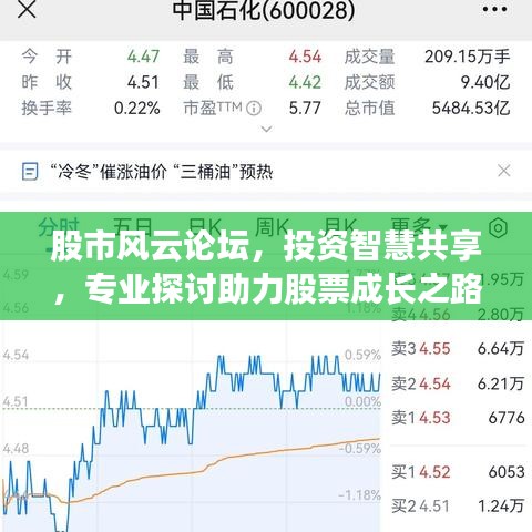 股市风云论坛，投资智慧共享，专业探讨助力股票成长之路