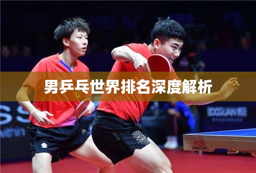 男乒乓世界排名深度解析
