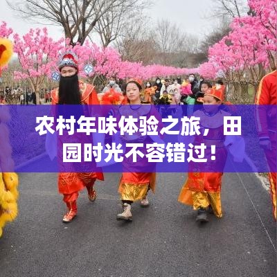 农村年味体验之旅，田园时光不容错过！