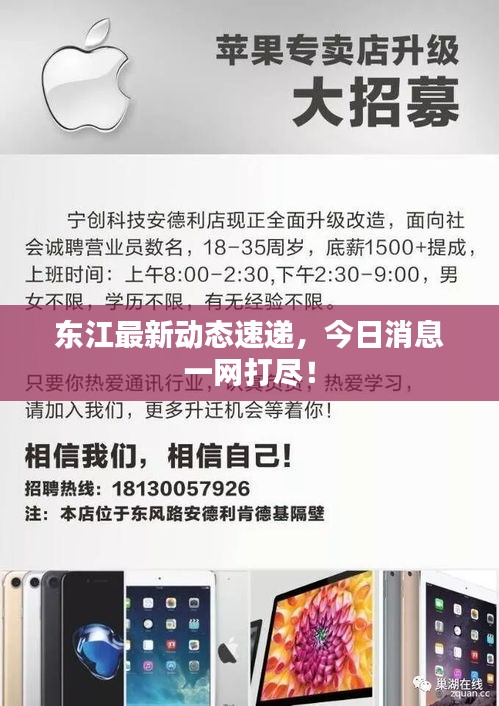 东江最新动态速递，今日消息一网打尽！