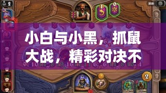 小白与小黑，抓鼠大战，精彩对决不容错过！