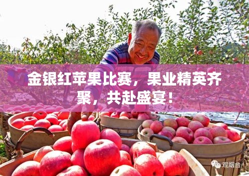 金银红苹果比赛，果业精英齐聚，共赴盛宴！