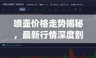 喷壶价格走势揭秘，最新行情深度剖析！