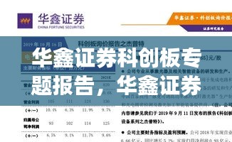 华鑫证券科创板专题报告，华鑫证券2020年报 