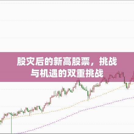 股灾后的新高股票，挑战与机遇的双重挑战