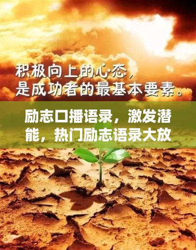励志口播语录，激发潜能，热门励志语录大放送